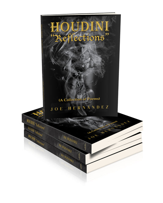 Houdini "Reflections"